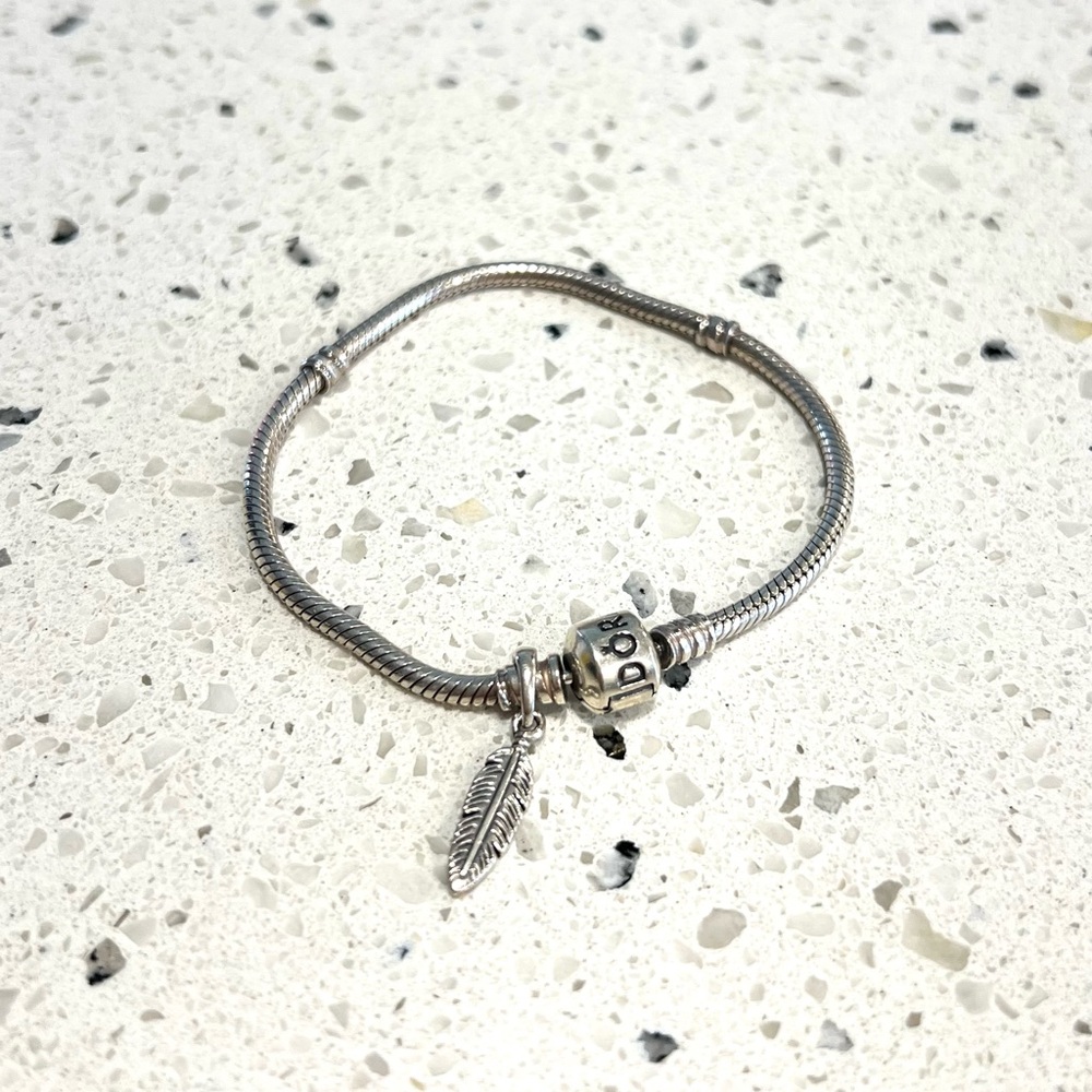 Pandora Charm Bracelet